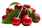 cherry by nataliplus - gratis png geanimeerde GIF