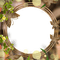 Cadre.Frame.Round.Fleurs.Victoriabea - Free PNG Animated GIF