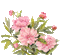fleurs - Free animated GIF Animated GIF