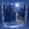howling wolf animated bg - GIF animasi gratis GIF animasi