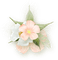 Kaz_Creations Deco Flower Colours Flowers - png gratuito GIF animata