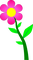 flower - gratis png animeret GIF