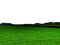 Meadow - PNG gratuit GIF animé
