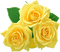 yellow roses 2 - Free PNG Animated GIF
