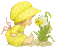 Narcissus -Cat Nitsa Papacon - Бесплатный анимированный гифка анимированный гифка