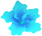 turquoise flower deco - GIF animé gratuit GIF animé