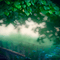 forest background by nataliplus - PNG gratuit GIF animé