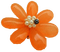 Orange Flower - PNG gratuit GIF animé