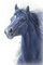 dolceluna horse - png gratuito GIF animata