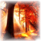 automne paysage autumn forest - png gratuito GIF animata