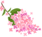 Sakura fleur rose pink flower cherry cerise - gratis png animerad GIF