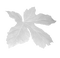 Kaz_Creations White Deco Colours Leaves Leafs - PNG gratuit GIF animé