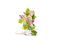 patymirabelle fleurs - Free PNG Animated GIF
