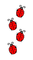 ladybug, leppäkerttu - bezmaksas png animēts GIF
