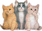 Drei Katzen, Cats - zdarma png animovaný GIF
