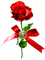 Rose.Red - PNG gratuit GIF animé