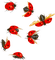 soave deco ladybug - bezmaksas png animēts GIF
