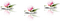 flowers anastasia - kostenlos png Animiertes GIF