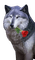 Loup avec rose - Free PNG Animated GIF
