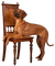 Tiere - 免费PNG 动画 GIF