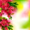 Y.A.M._Spring Summer background - kostenlos png Animiertes GIF