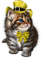 Kaz_Creations Cat - 免费PNG 动画 GIF