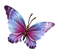 butterfly papillon  deco insect spring  tube printemps