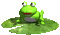 frog - GIF animate gratis GIF animata