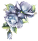 Roses dm19 - nemokama png animuotas GIF