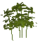 palm tree - Darmowy animowany GIF animowany gif