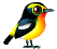 birds katrin - Darmowy animowany GIF animowany gif