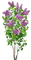 arbre Lilas - PNG gratuit GIF animé