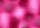 Rose - Gratis geanimeerde GIF geanimeerde GIF