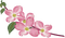 dulcineia8 flores - nemokama png animuotas GIF