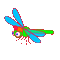 dragonfly - Animovaný GIF zadarmo animovaný GIF