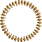brown circle   frame cadre rahmen tube