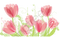 loly33 tulipe - 無料png アニメーションGIF
