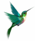 Kolibri, Vogel, Bird - darmowe png animowany gif