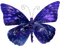 Kaz_Creations Deco Butterfly Colours - png grátis Gif Animado