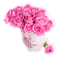 rosado - png gratis GIF animado