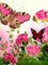 Flores - GIF animado gratis GIF animado