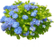 flores-l - kostenlos png Animiertes GIF