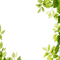 leaves green frame