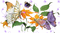 Papillons et fleurs oranges - animation - Free animated GIF Animated GIF
