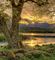 Rena Sommer Glitter Landschaft Hintergrund - Gratis geanimeerde GIF geanimeerde GIF