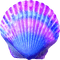 Seashell.Blue.Purple - ilmainen png animoitu GIF