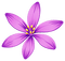 Kaz_Creations Flowers Flower - бесплатно png анимированный гифка