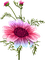 vintage flowers - gratis png animerad GIF