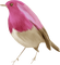 bird - Free PNG Animated GIF
