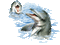 dolphins bp - Darmowy animowany GIF animowany gif